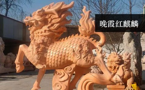 晚霞紅麒麟